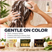 Color Care + Damage Set