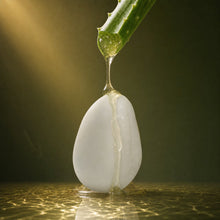Bond-Care Repair Shampoo Bar
